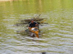 IMG_3530